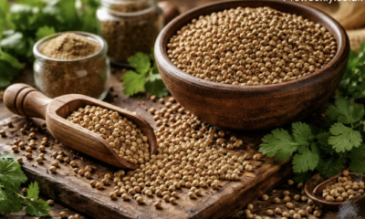 koriandri: Ancient Seeds of Flavor and Medicine Wisdom Roots