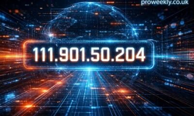 111.901.50.204: Demystifying an Unusual IP Address Mystery