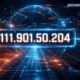 111.901.50.204: Demystifying an Unusual IP Address Mystery
