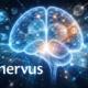 kinervus: The Science Behind Cognitive Revival Formula Today